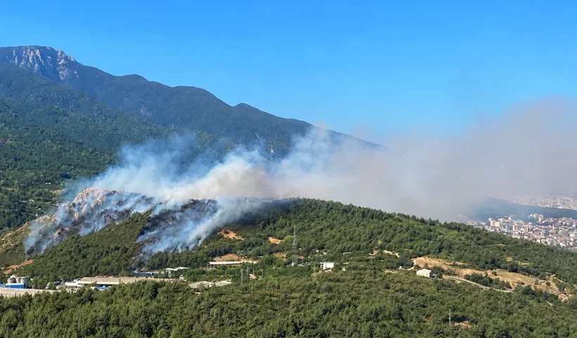 una zona boscosa envuelta en una gran cantidad de humo junto al Monte Uludağ en Bursa