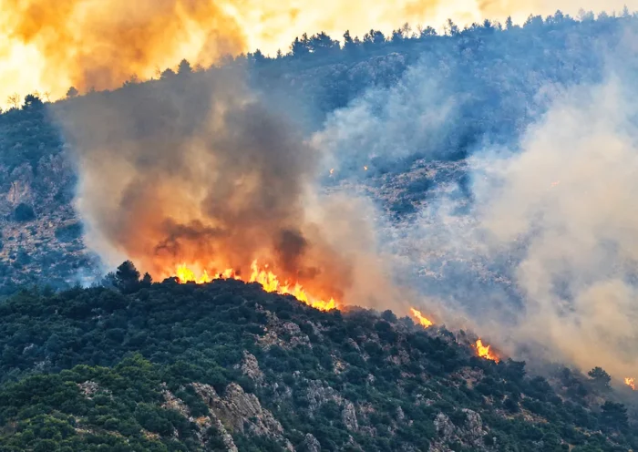 llamas y humo saliendo de un monte cubierto de árboles ardiendo