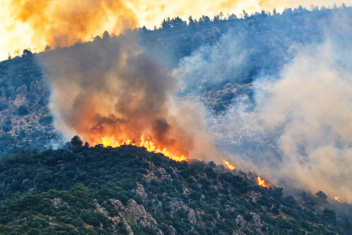 llamas y humo saliendo de un monte cubierto de árboles ardiendo