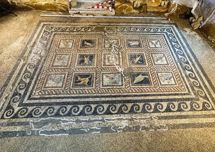a large Roman mosaic decorated with geometric and animal motifs