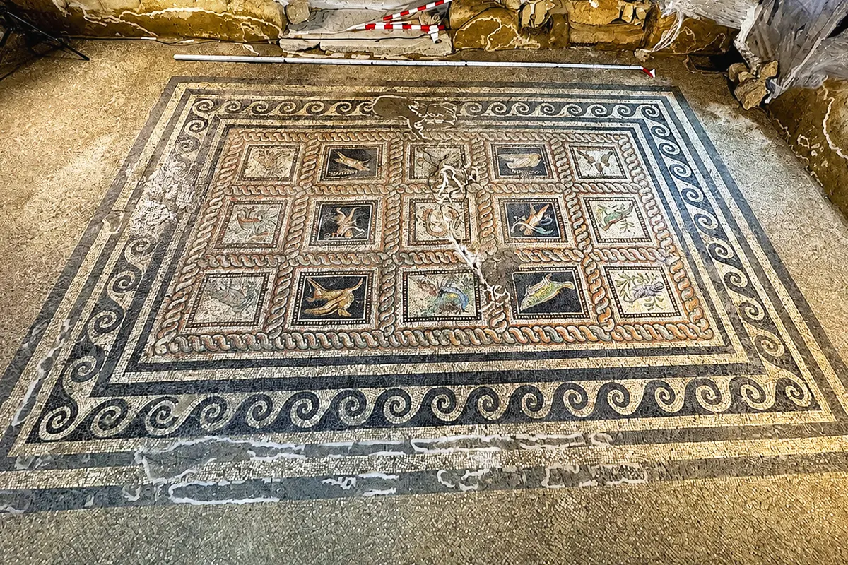 a large Roman mosaic decorated with geometric and animal motifs