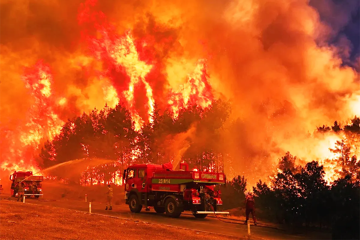 firefighters battling a massive forest fire, with flames reaching over 10 metres in height