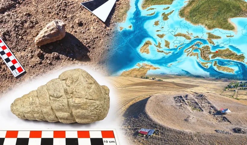 imágenes de un fósil marino, del asentamiento de Külhöyük, y del antiguo Mar de Tetis