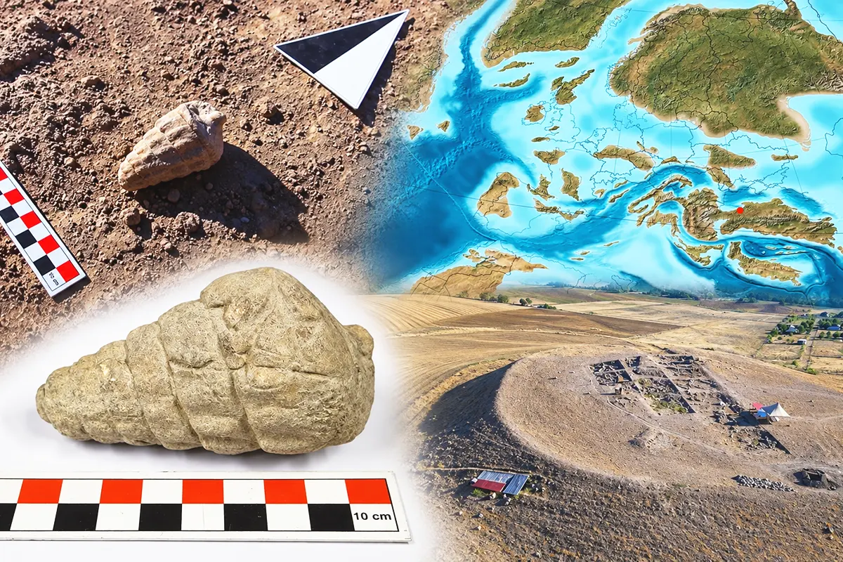 images of a marine fossil, the Külhöyük settlement, and the ancient Tethys Sea