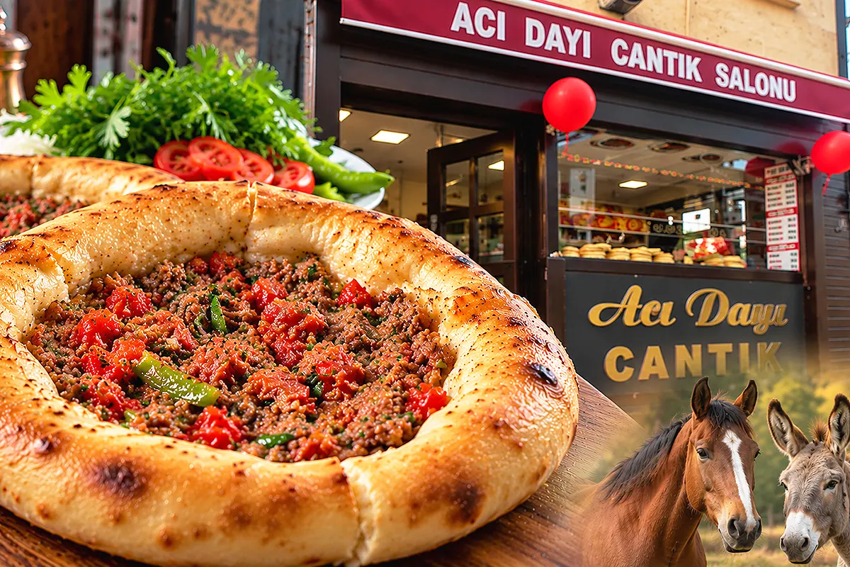 a picture showing the Bursa cantık next to the Acı Dayı Cantık Salonu restaurant and a picture of a horse and a donkey