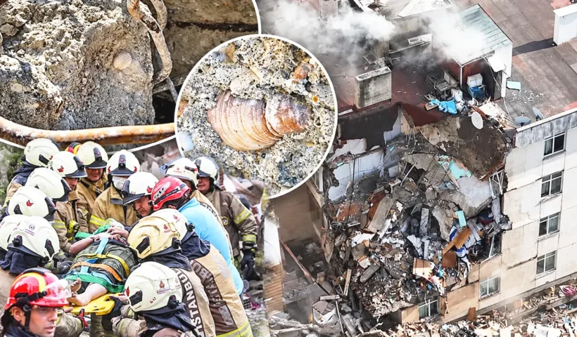 varias imágenes mostrando operaciones de rescate en edificio derrumbado en Estambul y restos de conchas marinas en el cemento del edificio