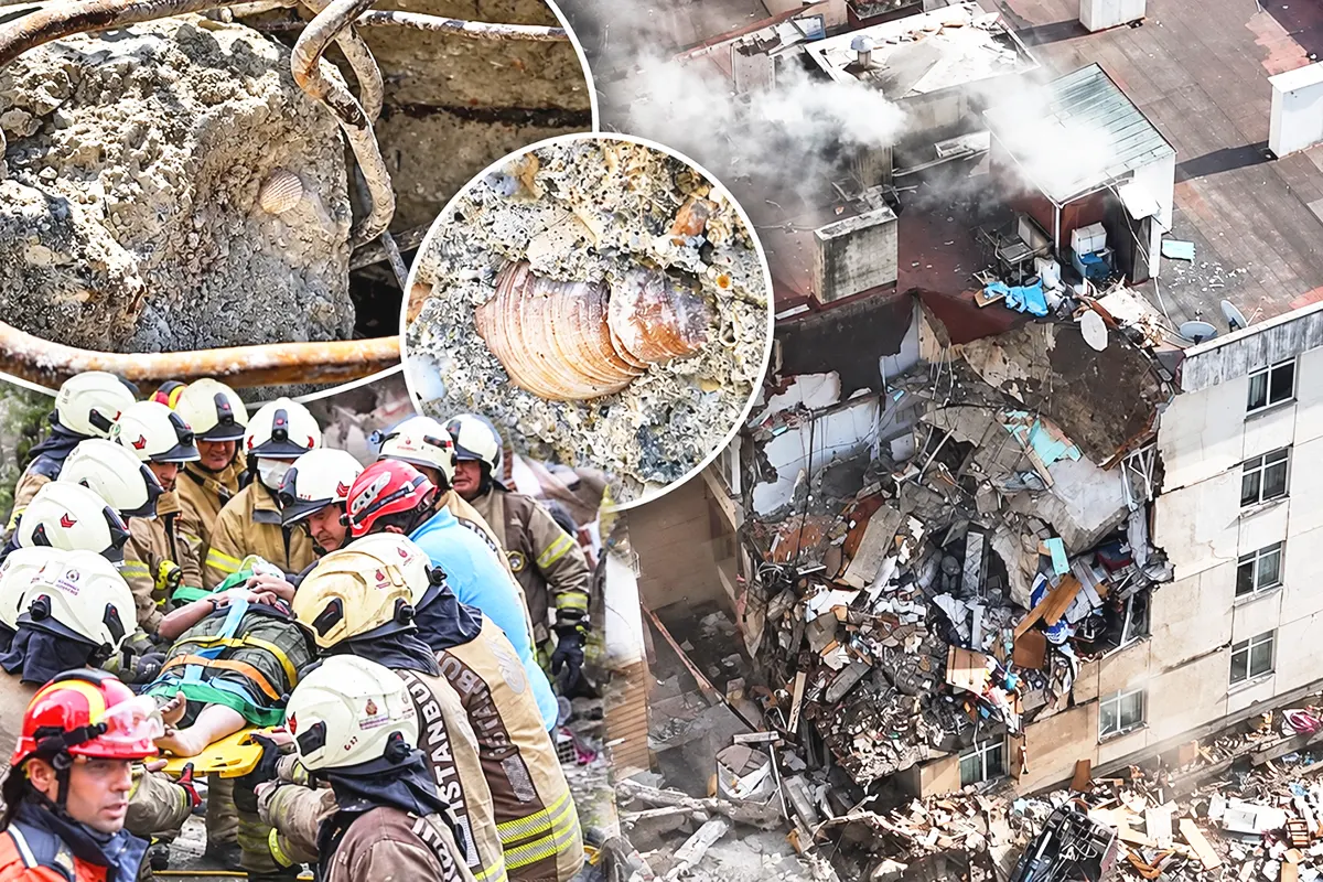 varias imágenes mostrando operaciones de rescate en edificio derrumbado en Estambul y restos de conchas marinas en el cemento del edificio